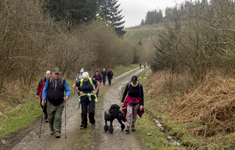 Photograph of Walking Route - Image 11