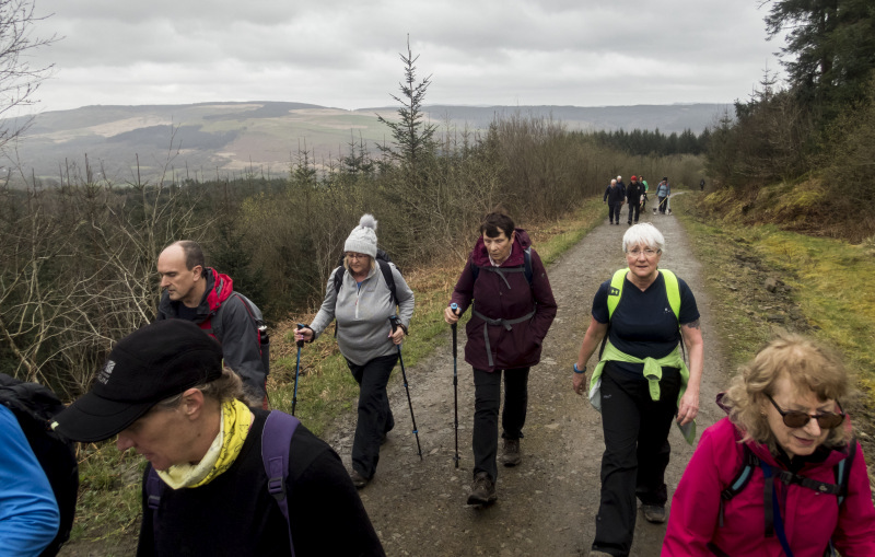 Photograph of Walking Route - Image 12