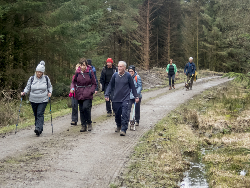 Photograph of Walking Route - Image 13