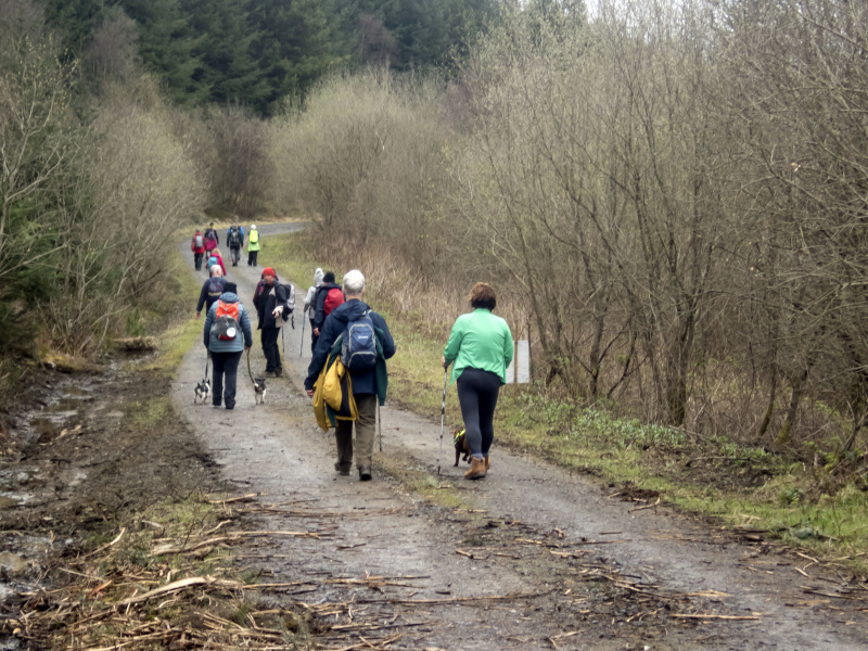 Photograph of Walking Route - Image 14