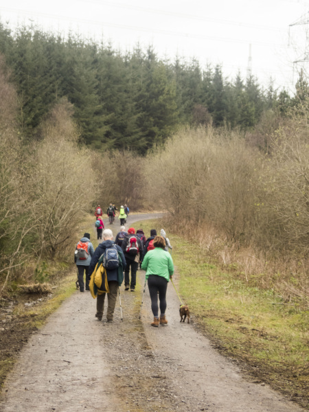 Photograph of Walking Route - Image 15