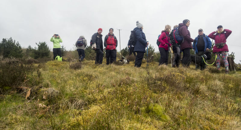 Photograph of Walking Route - Image 18