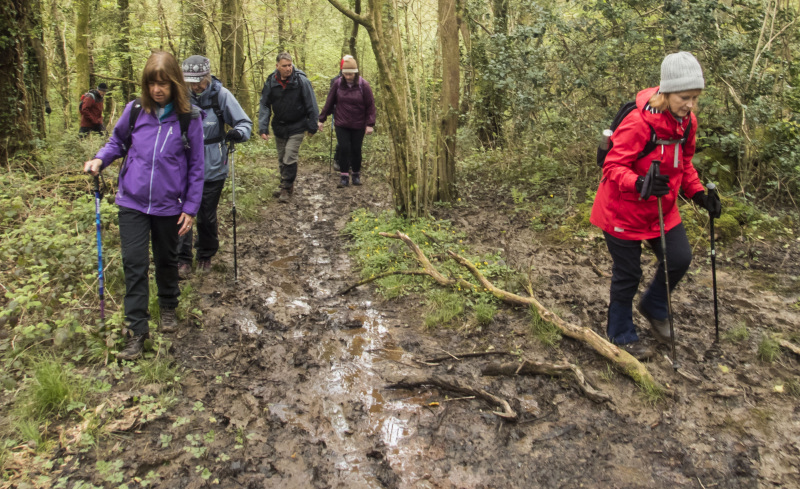 Photograph of Walking Route - Image 6