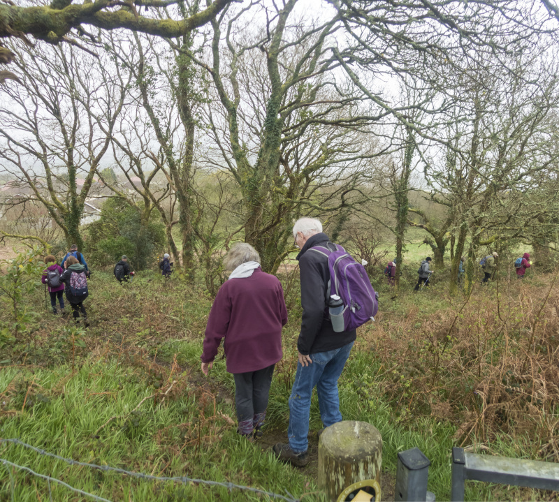 Photograph of Walking Route - Image 13