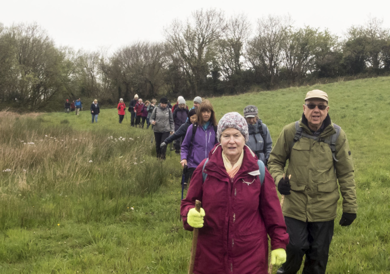 Photograph of Walking Route - Image 15