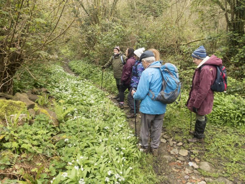 Photograph of Walking Route - Image 17