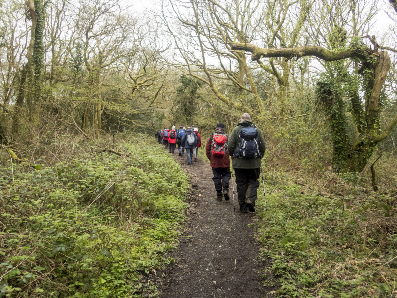 Photograph of Walking Route - Image 18