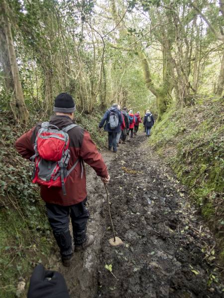 Photograph of Walking Route - Image 19