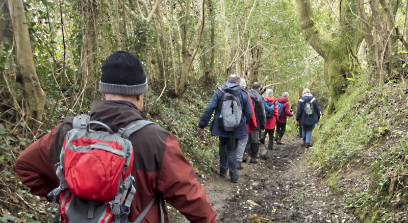 Photograph of Walking Route - Image 20