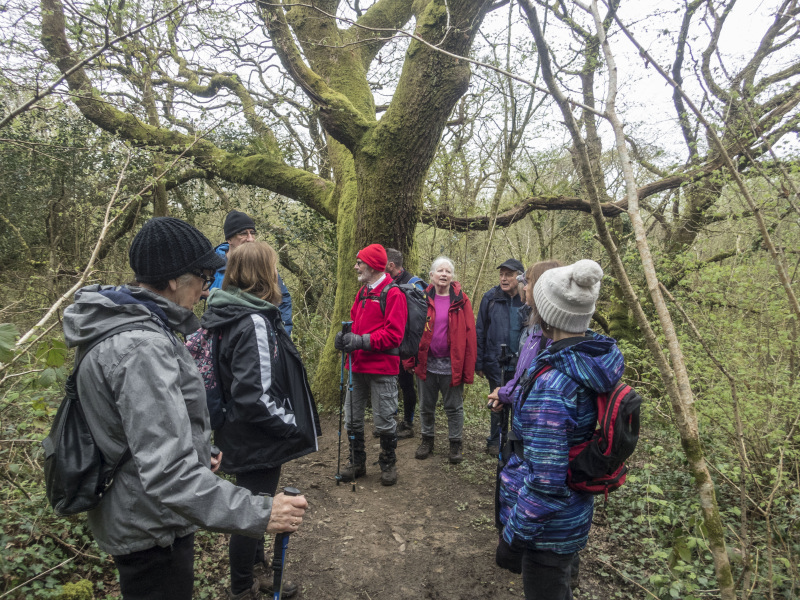 Photograph of Walking Route - Image 30