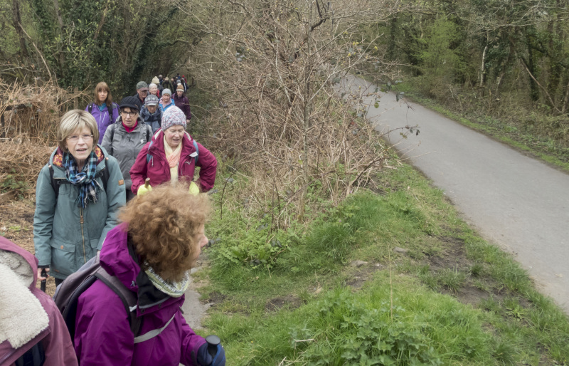 Photograph of Walking Route - Image 32