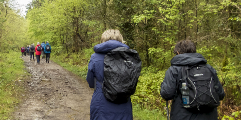 Photograph of Walking Route - Image 9