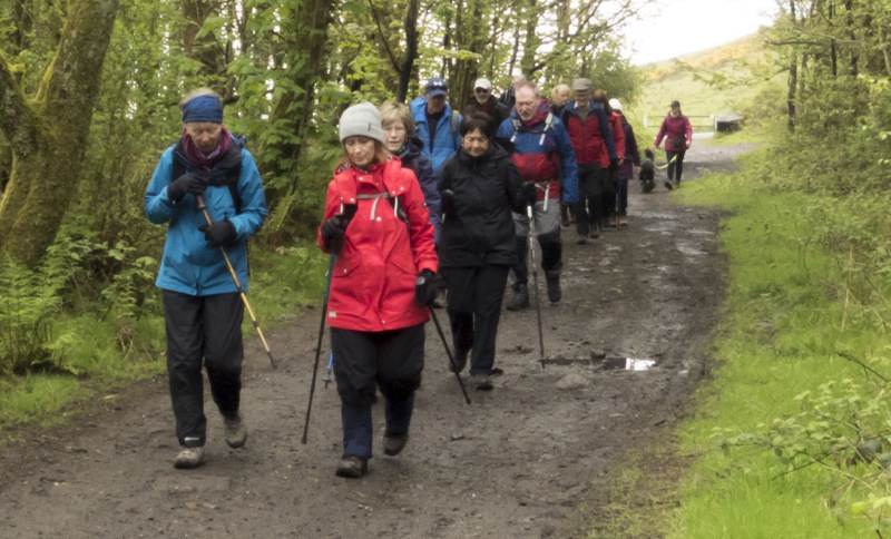 Photograph of Walking Route - Image 11