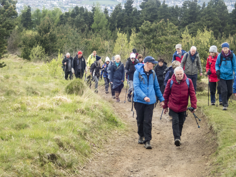 Photograph of Walking Route - Image 13