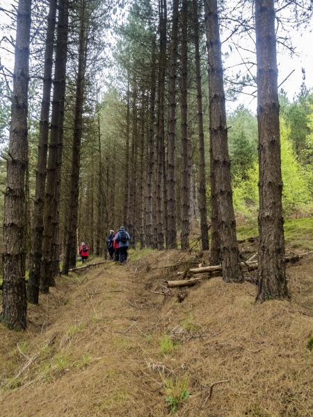 Photograph of Walking Route - Image 26