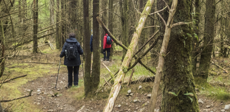 Photograph of Walking Route - Image 28