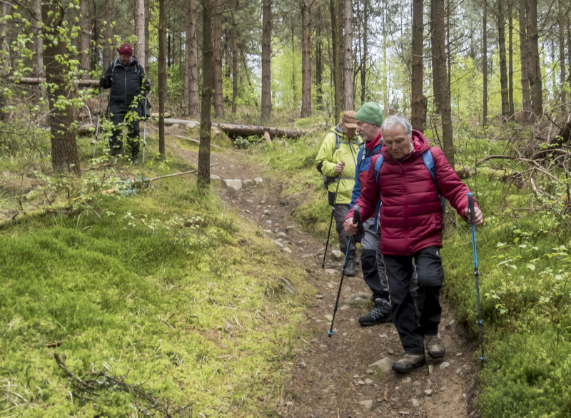 Photograph of Walking Route - Image 29