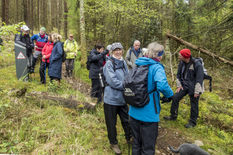 Photograph of Walking Route - Image 30
