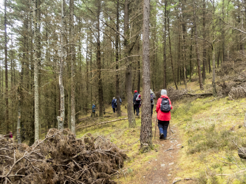 Photograph of Walking Route - Image 31