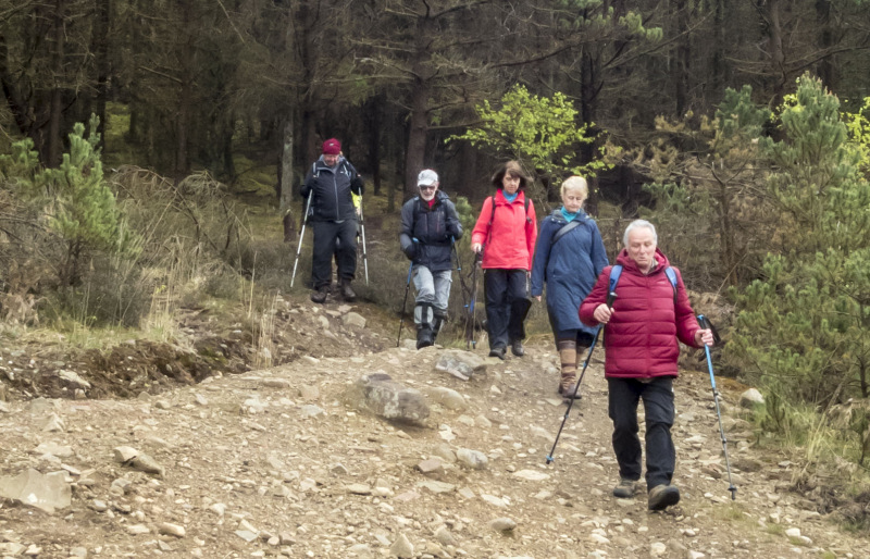 Photograph of Walking Route - Image 32