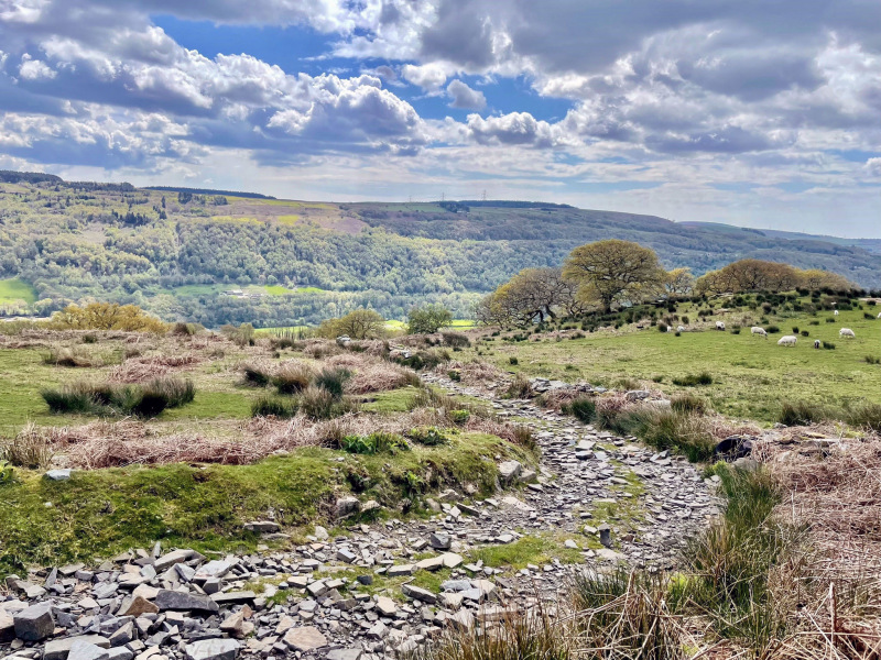 Photograph of Walking Route - Image 3
