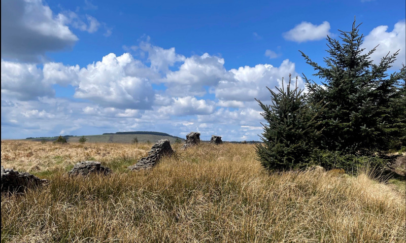 Photograph of Walking Route - Image 4