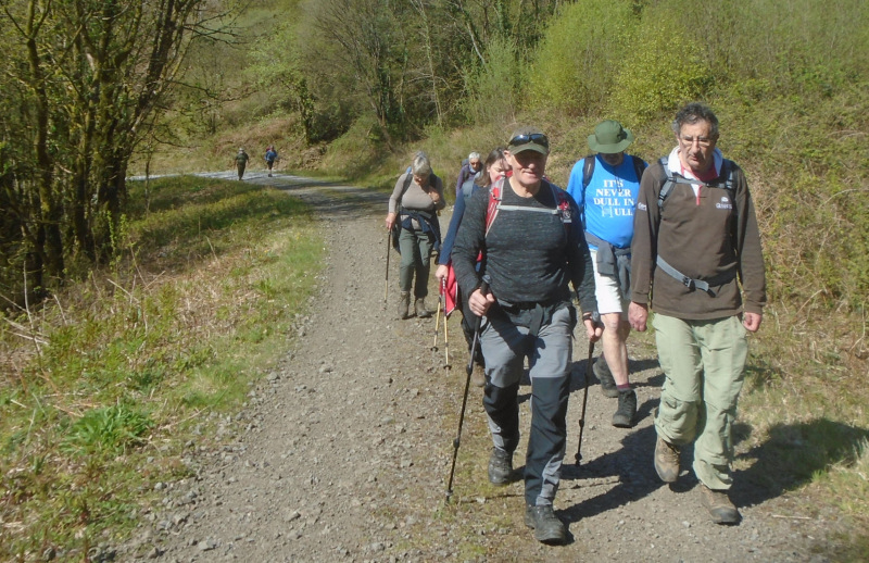 Photograph of Walking Route - Image 9