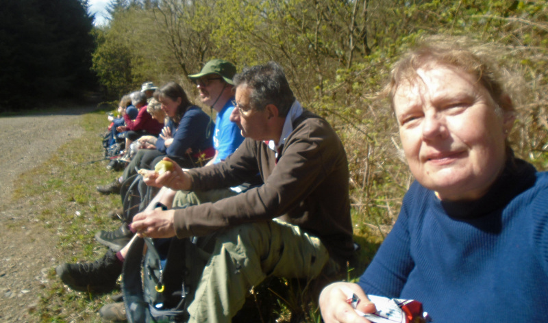 Photograph of Walking Route - Image 11