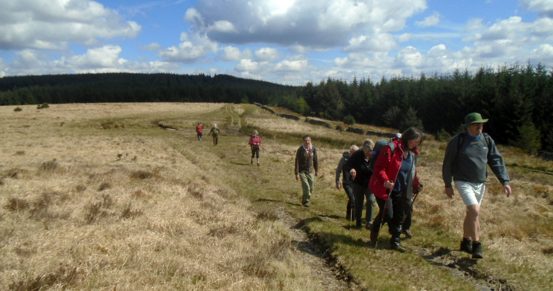 Photograph of Walking Route - Image 12