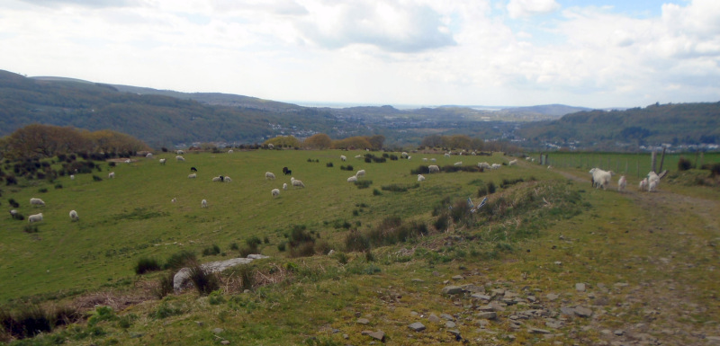 Photograph of Walking Route - Image 14