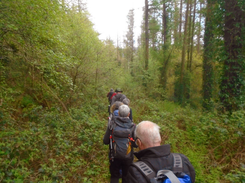 Photograph of Walking Route - Image 17