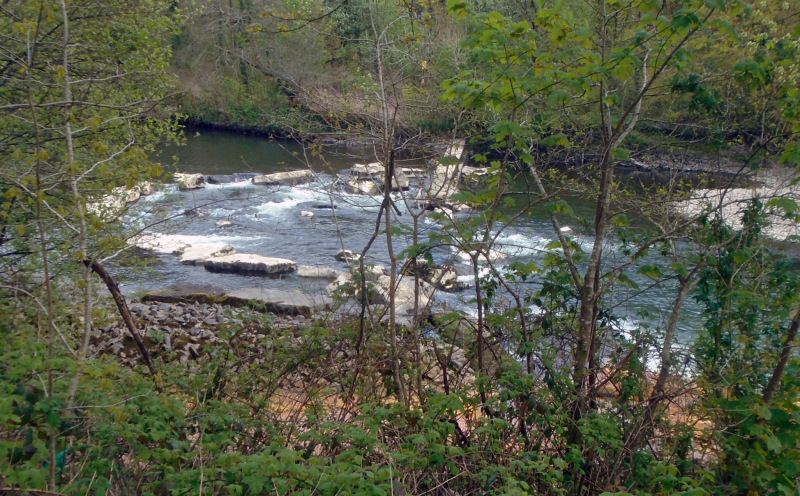 Photograph of Walking Route - Image 21