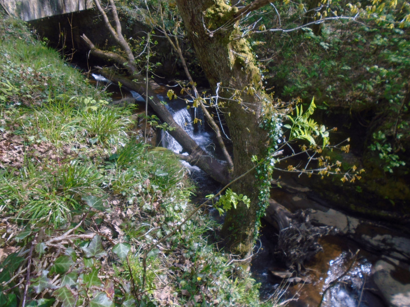 Photograph of Walking Route - Image 25