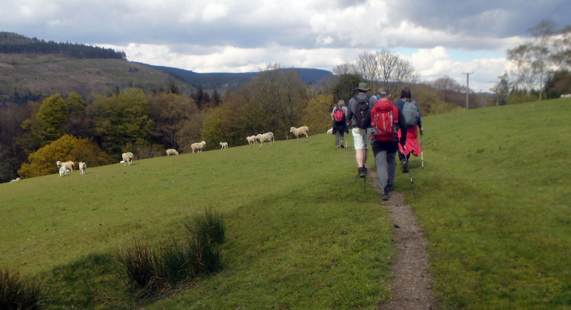 Photograph of Walking Route - Image 27