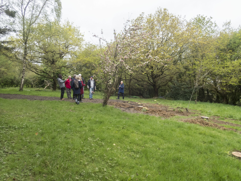 Photograph of Walking Route - Image 3