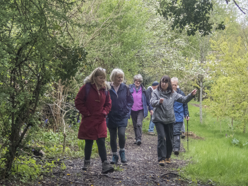 Photograph of Walking Route - Image 4