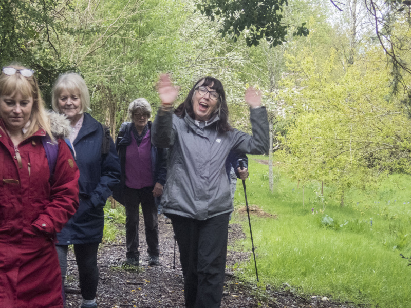 Photograph of Walking Route - Image 5