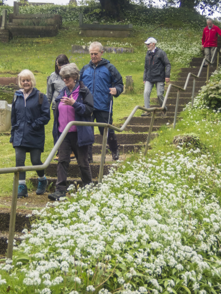 Photograph of Walking Route - Image 7