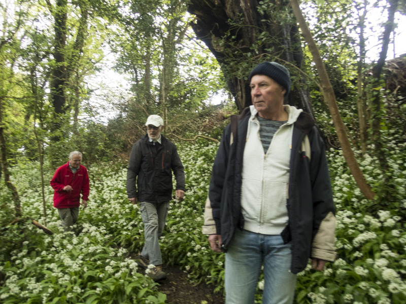 Photograph of Walking Route - Image 9