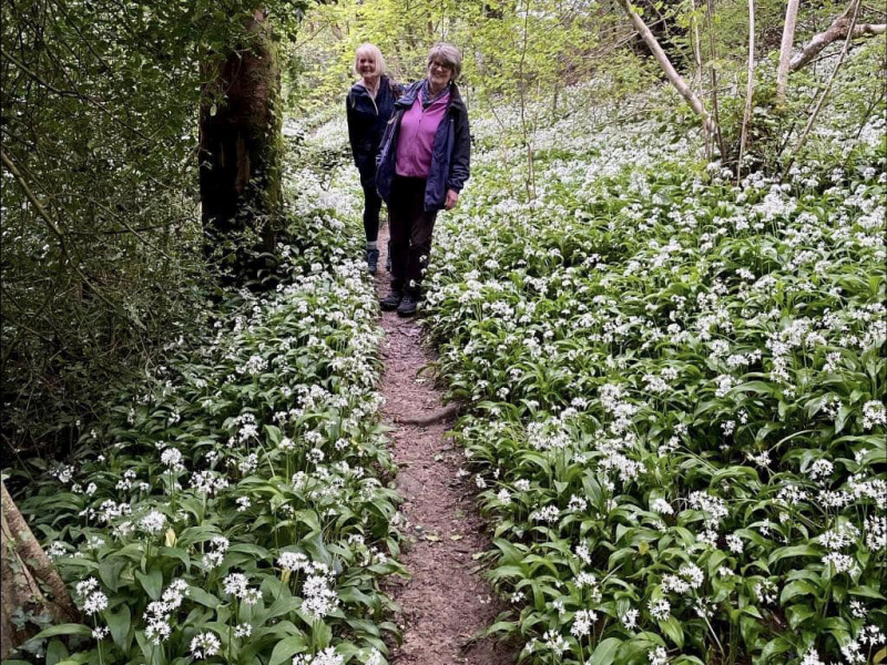 Photograph of Walking Route - Image 11