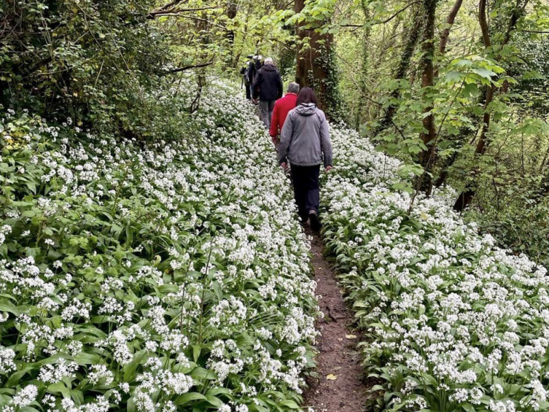 Photograph of Walking Route - Image 12