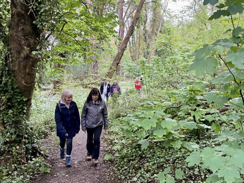 Photograph of Walking Route - Image 16