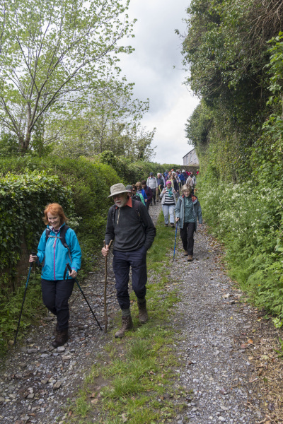 Photograph of Walking Route - Image 2