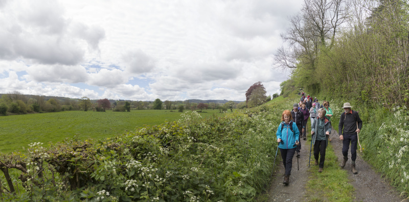Photograph of Walking Route - Image 3