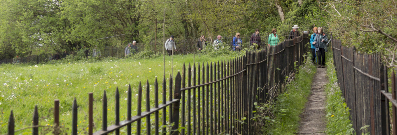 Photograph of Walking Route - Image 5