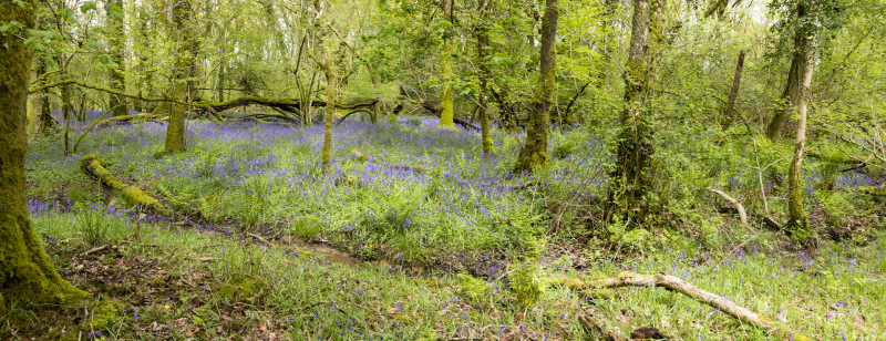 Photograph of Walking Route - Image 18