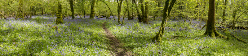 Photograph of Walking Route - Image 19
