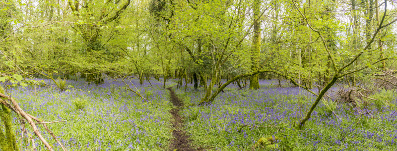 Photograph of Walking Route - Image 20