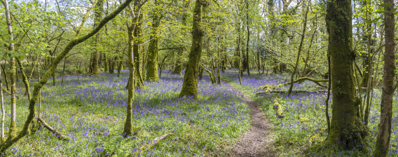 Photograph of Walking Route - Image 22