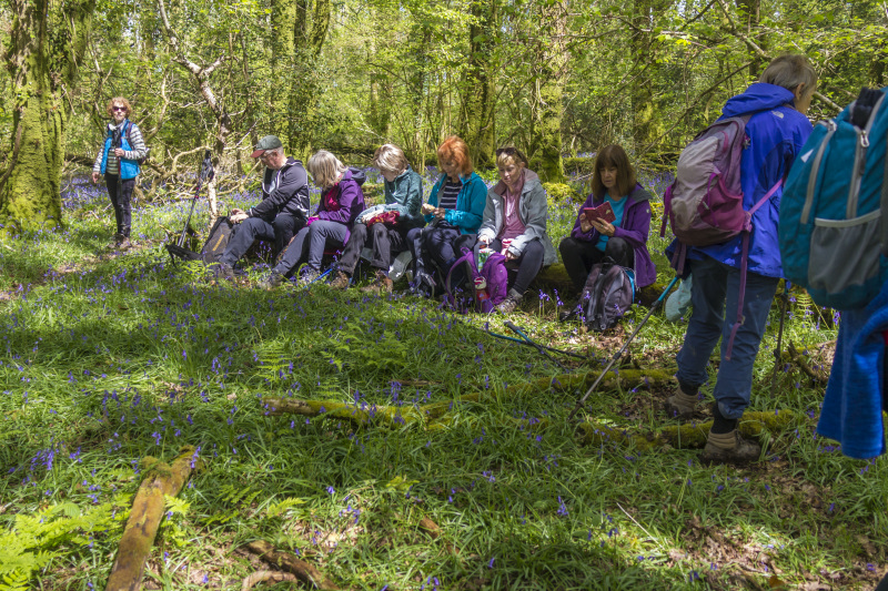 Photograph of Walking Route - Image 23